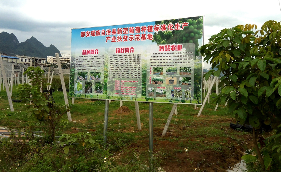 都安产业扶贫示范基地，智慧农业标准化生产