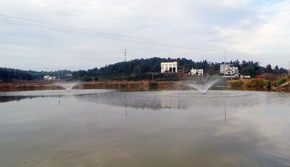 水产养殖也能搭乘智慧农业实现精准高效养殖