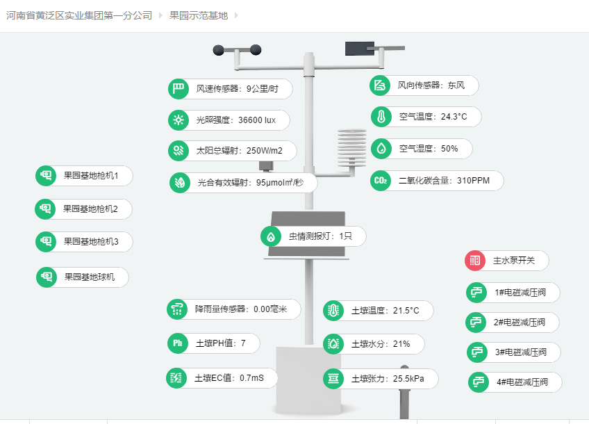 被历史铭记的苦难“黄泛区”，如今搭乘智慧农业的快车，成为一方沃土