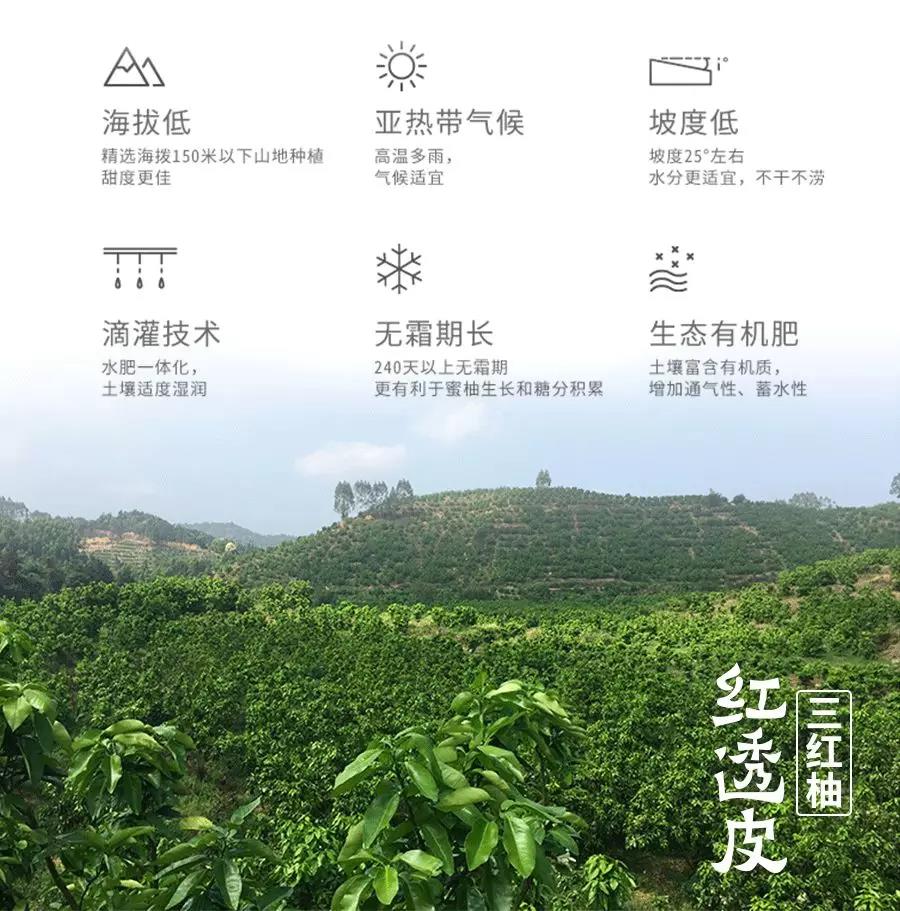 耘小宝服务智慧果业生产招牌果基地——福建三红蜜柚，异常气象提前预警