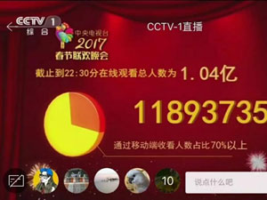 CCTV网站建设