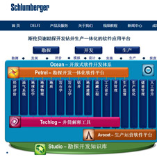 斯伦贝谢科技服务（上海）有限公司网站建设