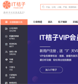 IT橘子网站建设