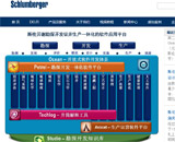 美国石油网站建设