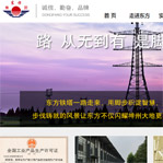 东方集团网站建设